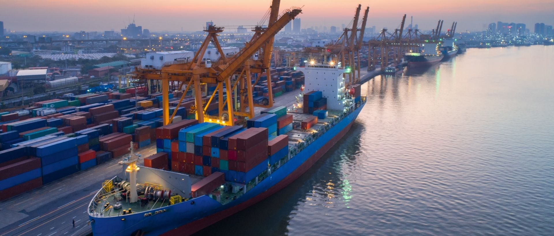 Egyptian Customs Services